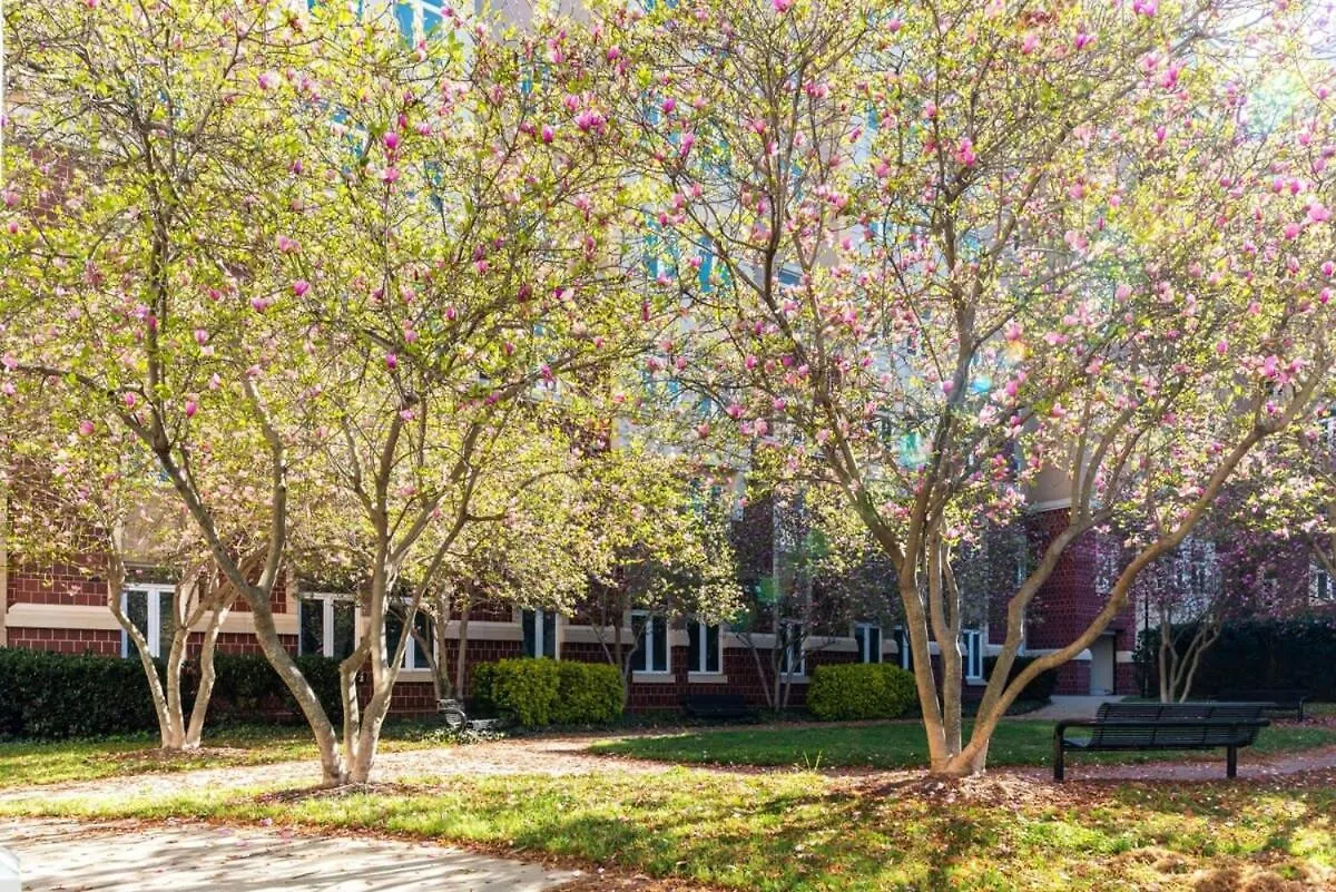 3Br Premium Downtown Apartment With Office & Gym Charlotte
