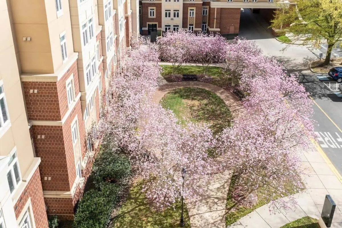 3Br Premium Downtown Apartment With Office & Gym Charlotte